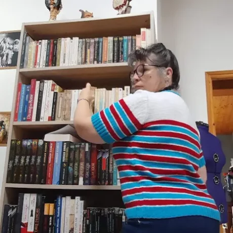 Pull hirondelles dos