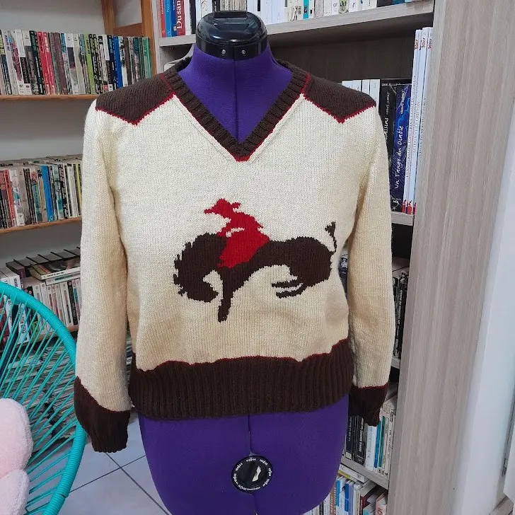 Pull à manches longues rodéo face