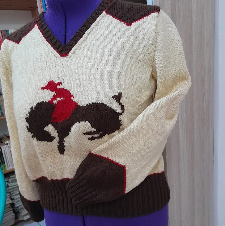 Pull à manches longues rodéo pose